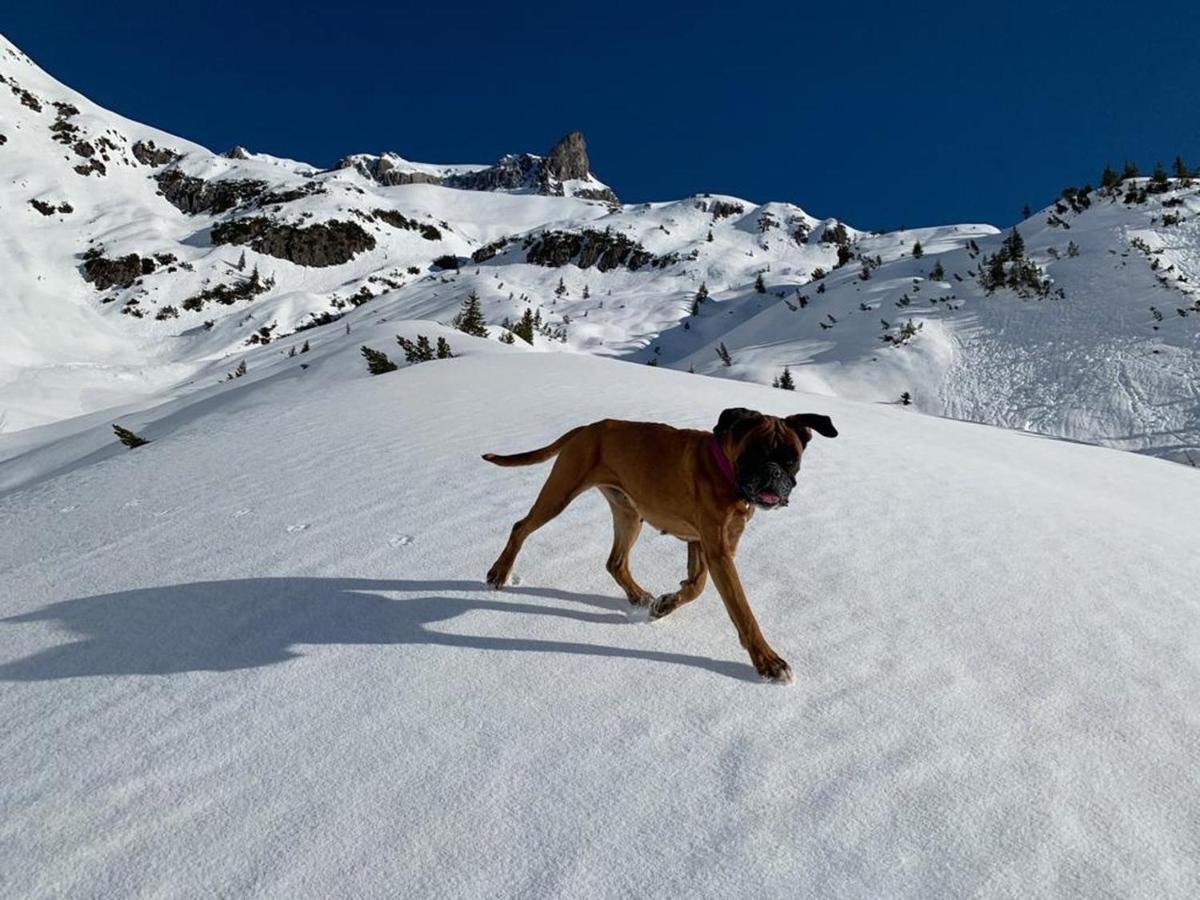 Haus Walch Bed & Breakfast Elbigenalp Dış mekan fotoğraf